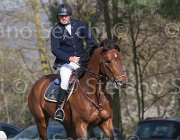 Le Jeune Farouk TosTour 2013- S5 3280 : Arezzo Equestrian Centre, Farouk de la Pomme, Le Jeune Philippe, Toscana Tour 2013, foto di Stefano Secchi ©